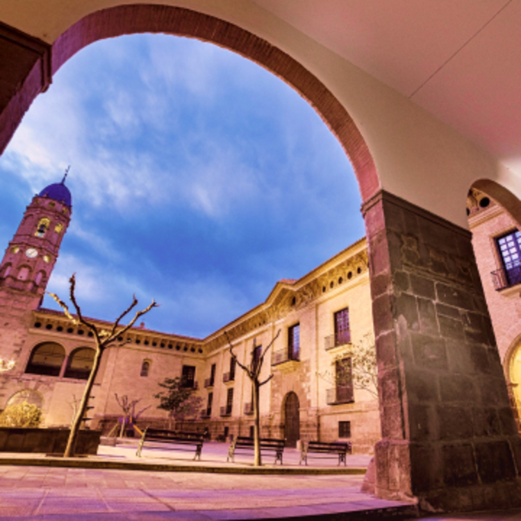 Imagen Comarca de La Ribera Alta del Ebro