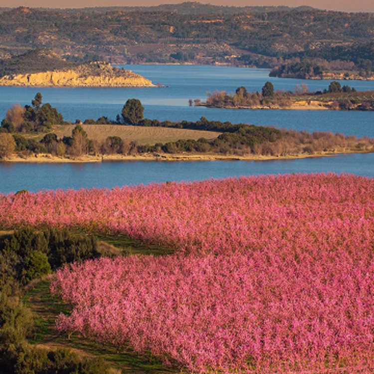 Imagen COMARCA DE BAJO ARAGÓN-CASPE / BAIX ARAGÓ-CASP