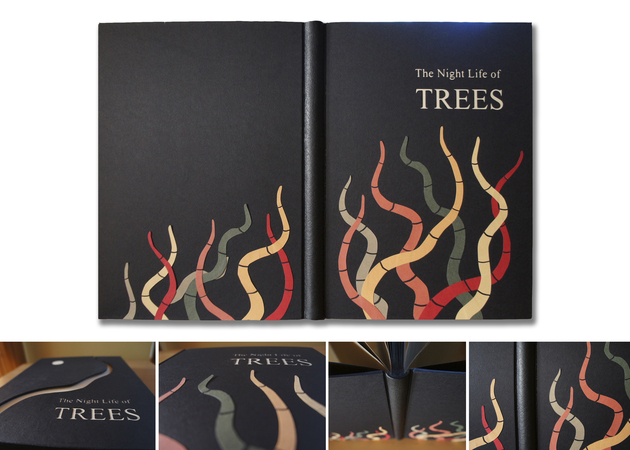 Image gallery Imagine creative studio 6