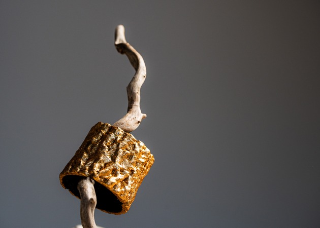 Galería de imágenes Soledad Franco 3