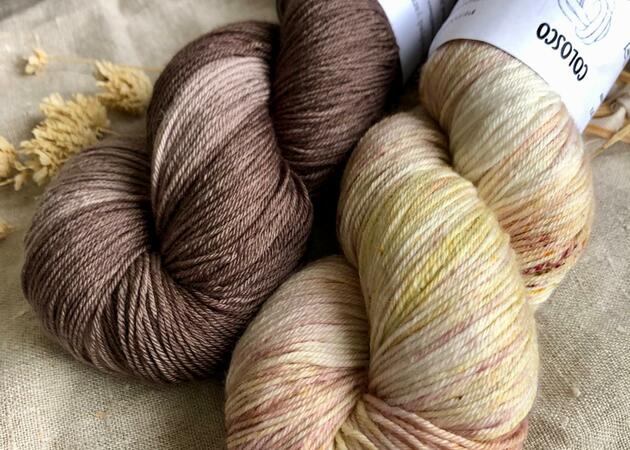 Galería de imágenes Colosco 5