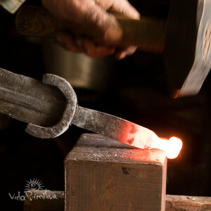 Thumbnail Primitive Life ®