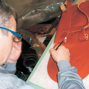 Foto de portada Pieles Domingo