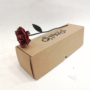 Foto de portada 89 Trazos