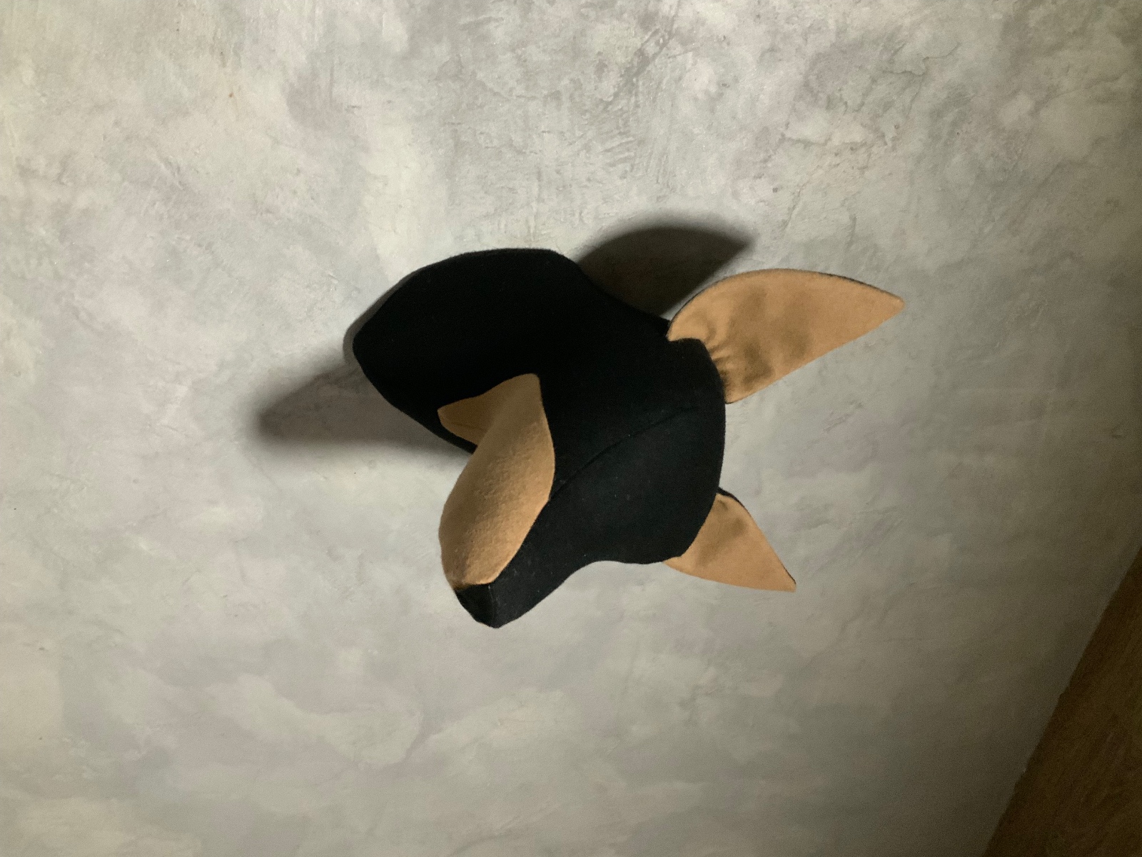 Foto de portada Smaap